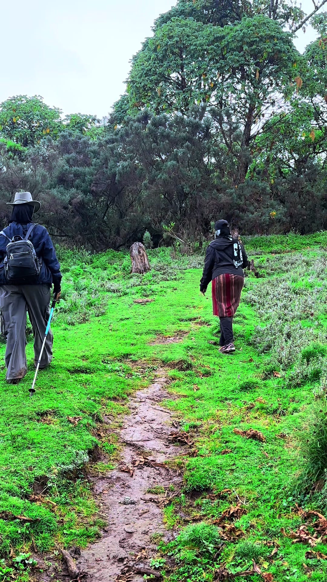 @HikinG_GiantS