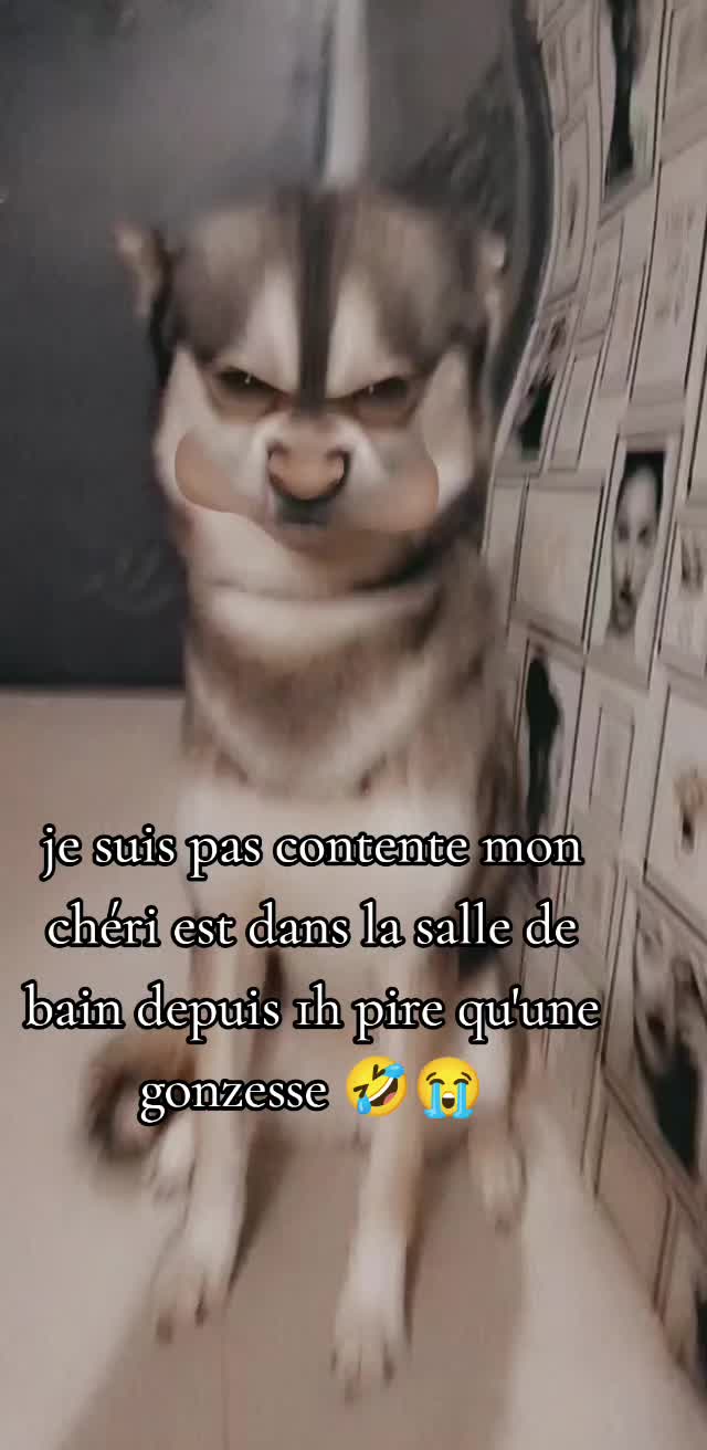 @werewolf 🐺dog de l'enfer➕👺😈