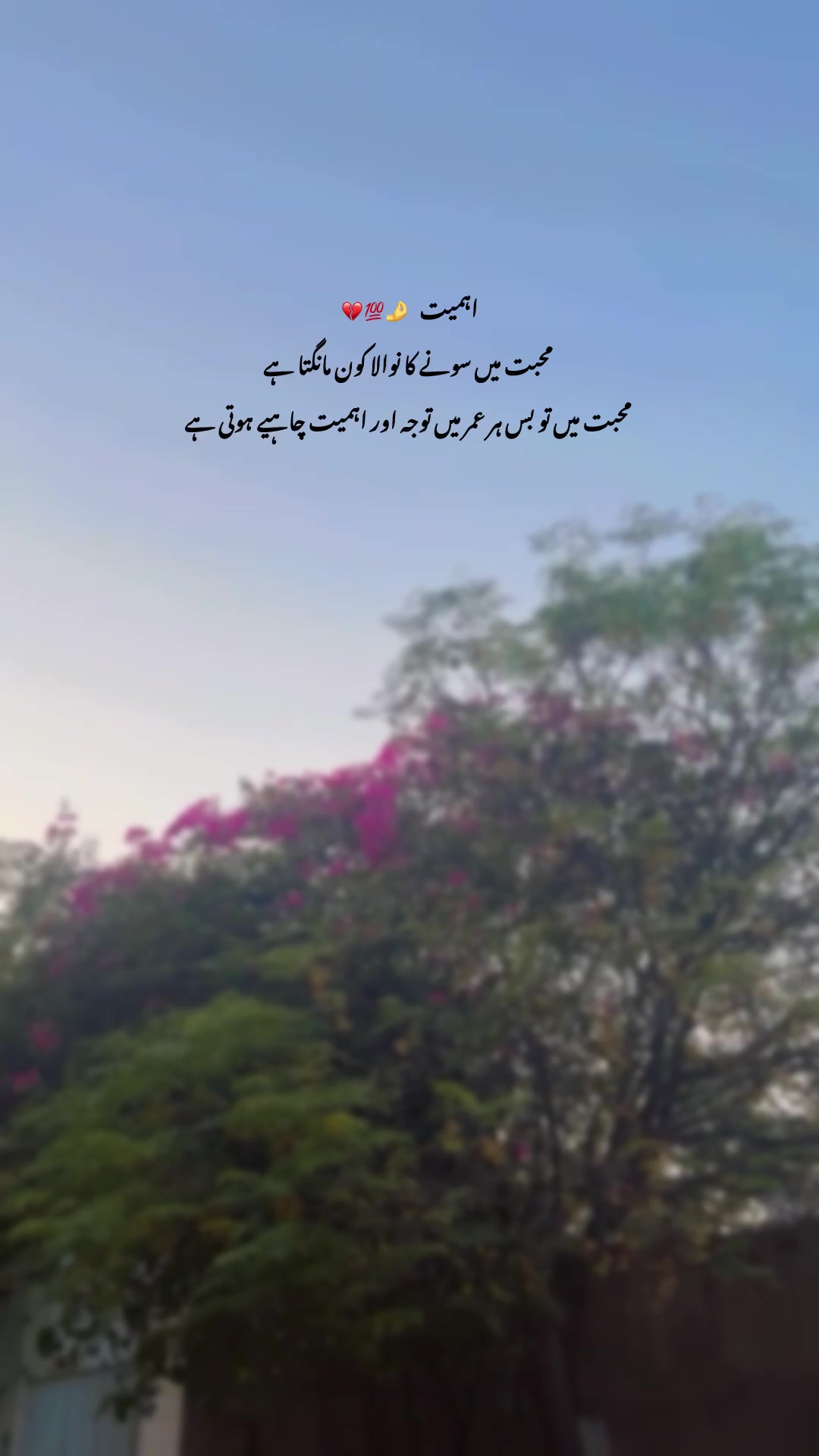 @Laiبa🥀💫