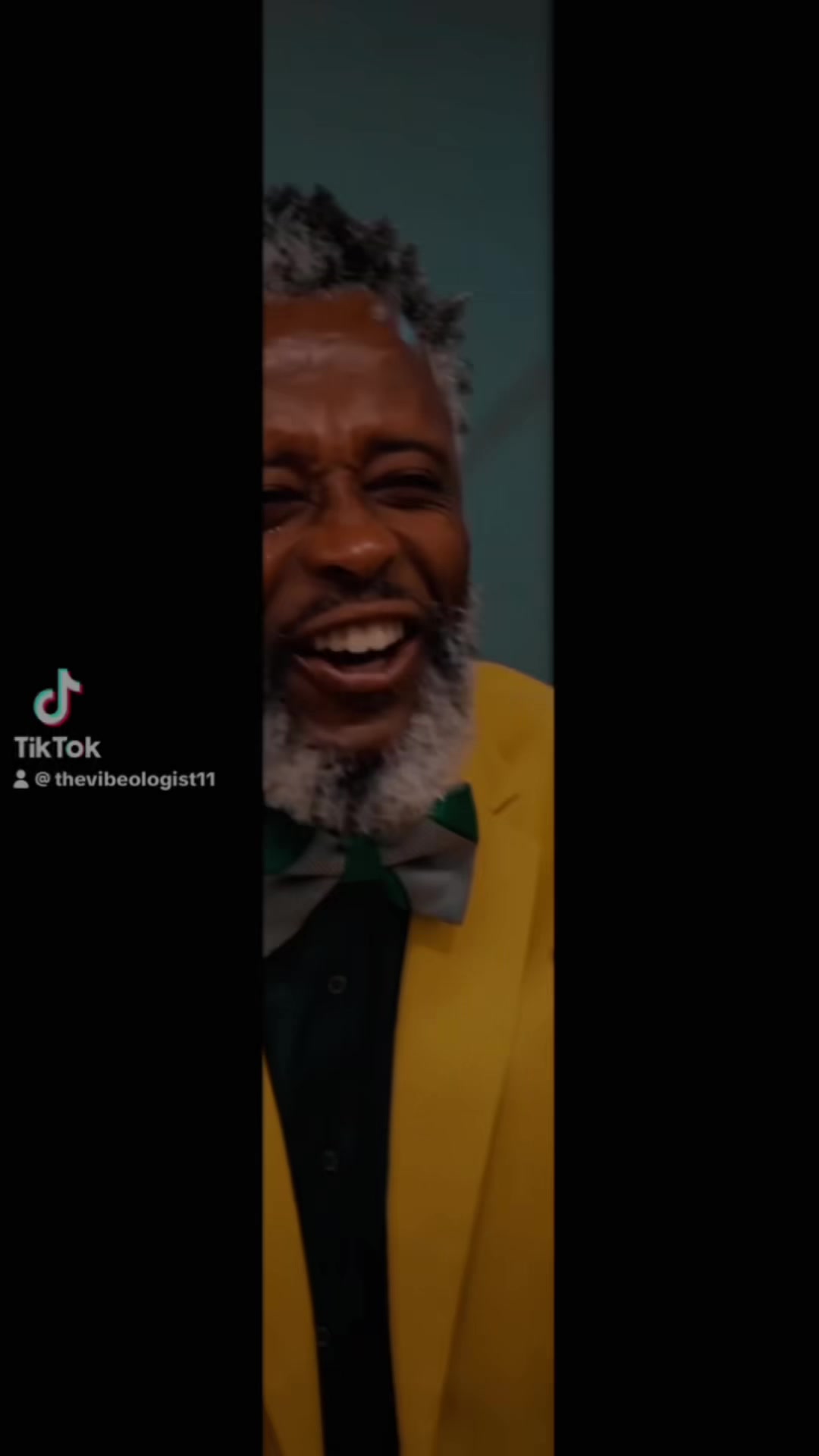 @The Vibeologist