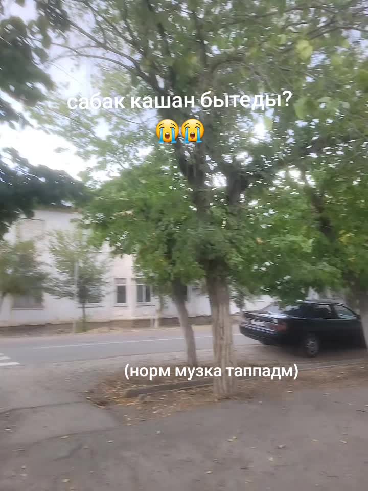 @𝑀𝑢𝑟𝑎𝑡 𝐴𝑙𝑖𝑛𝑢𝑟