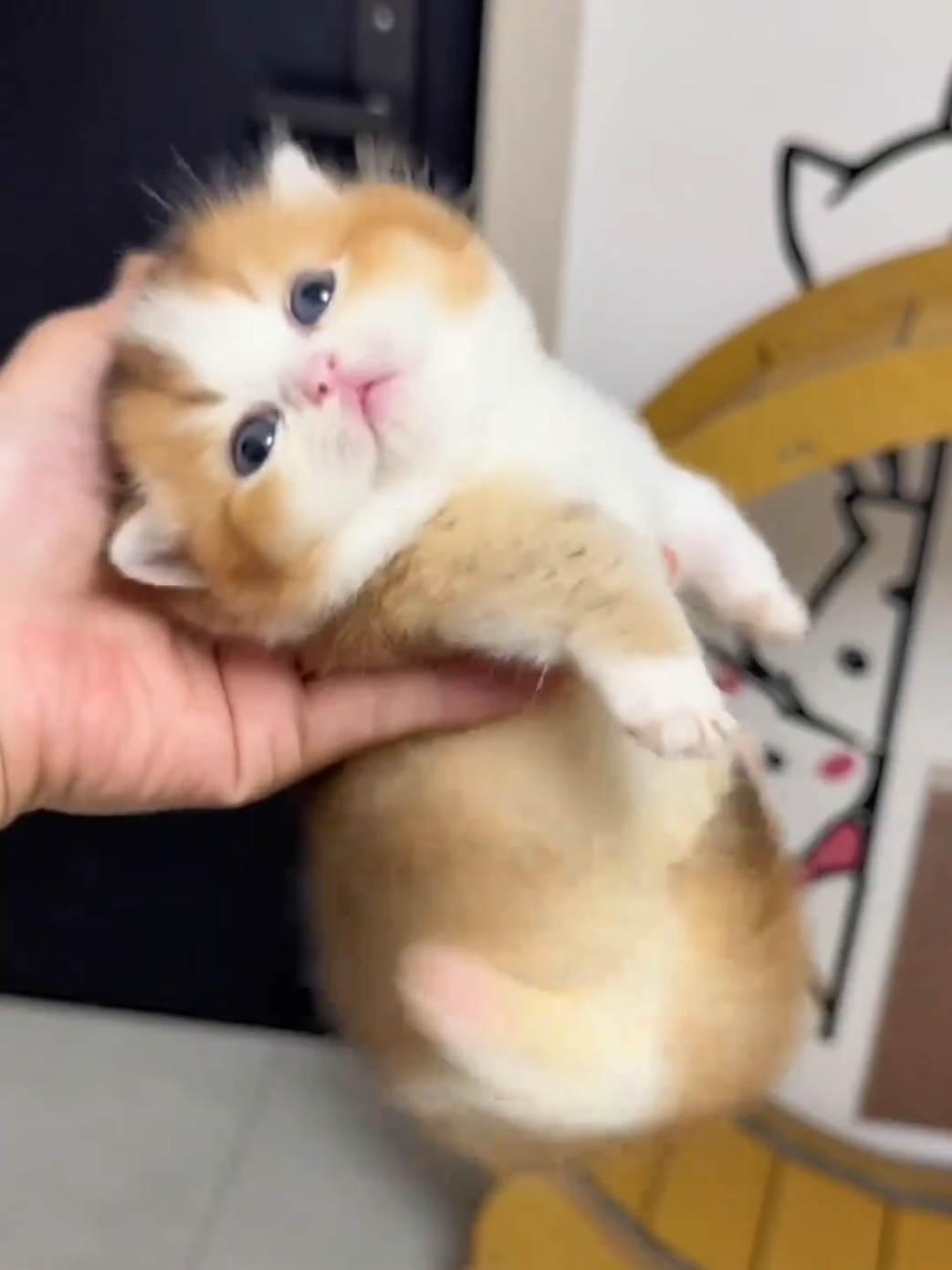 @cheerypaws