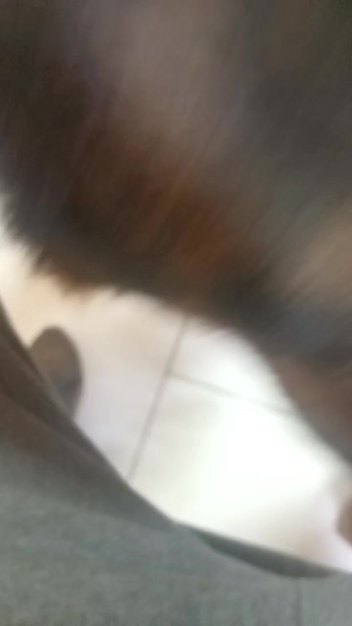 @Передержка «Лёнин рай» 🐶🦮