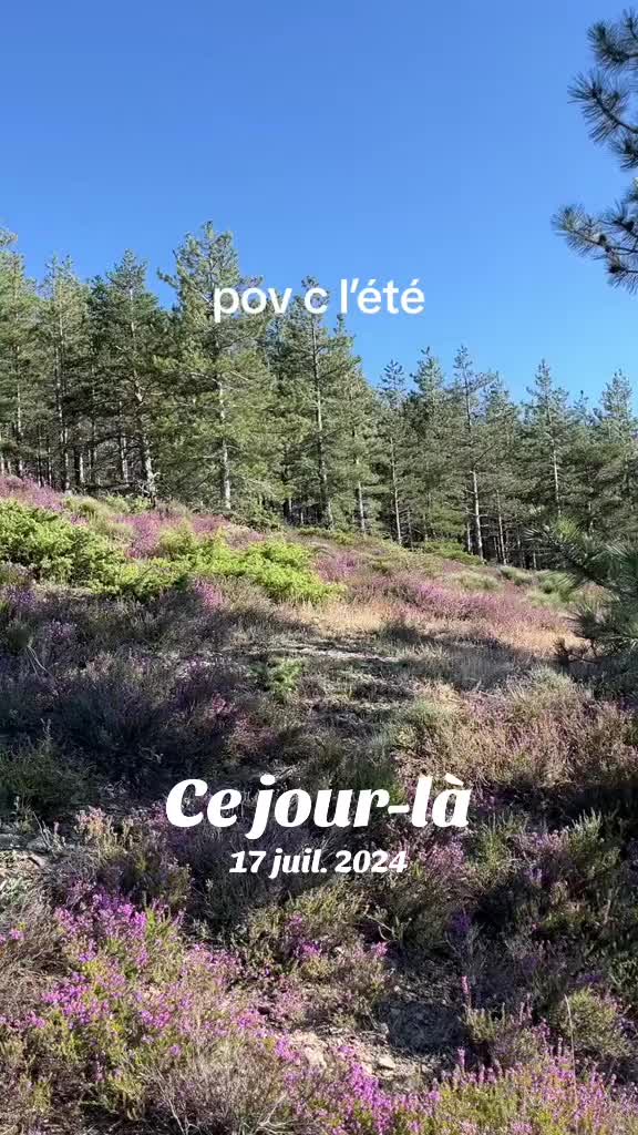 @clem