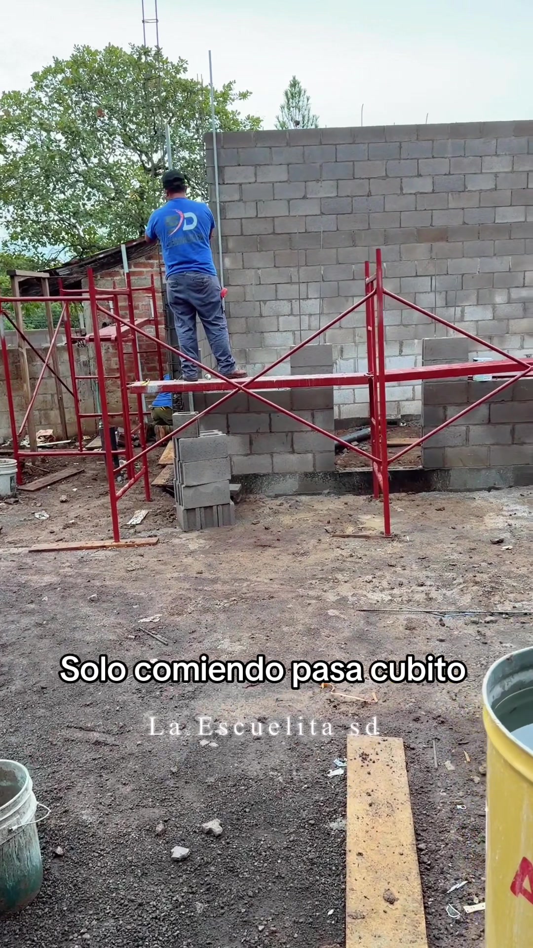 @Laescuelitasd_Oficial