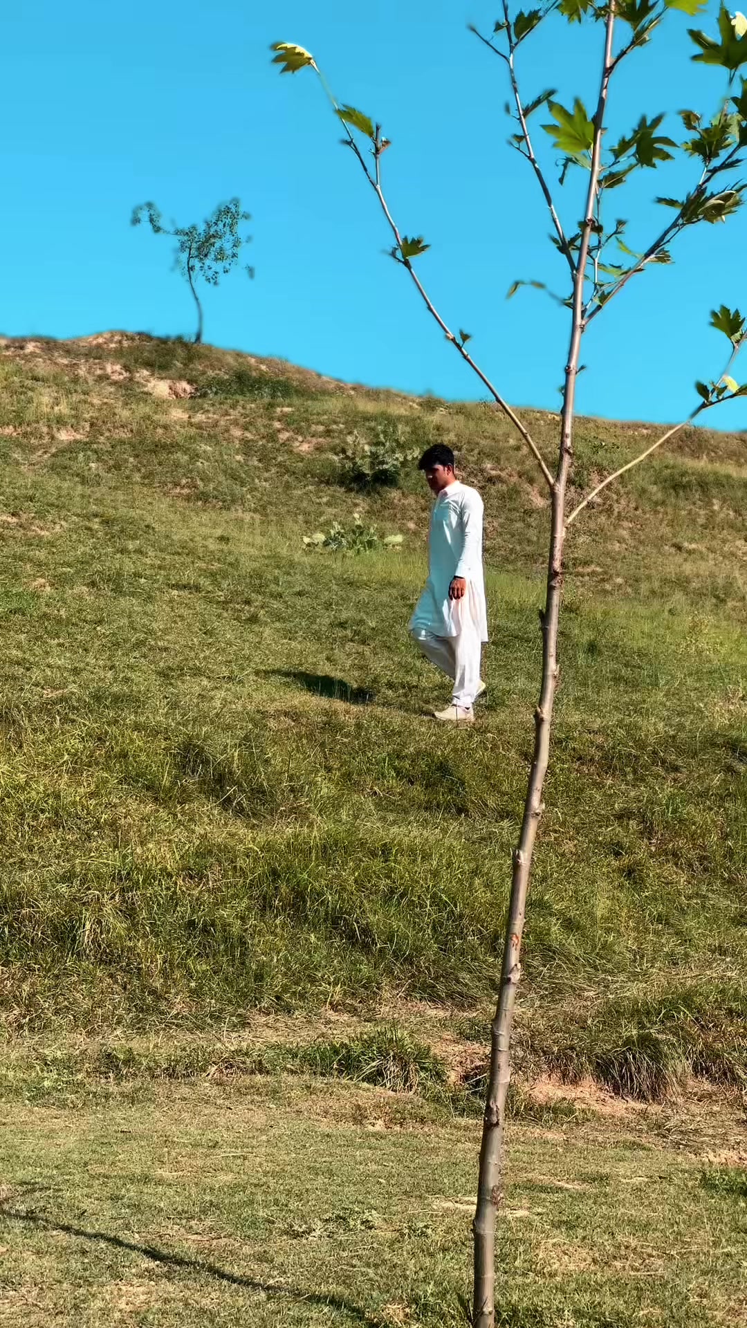 @زاھد صافی۔ 💫