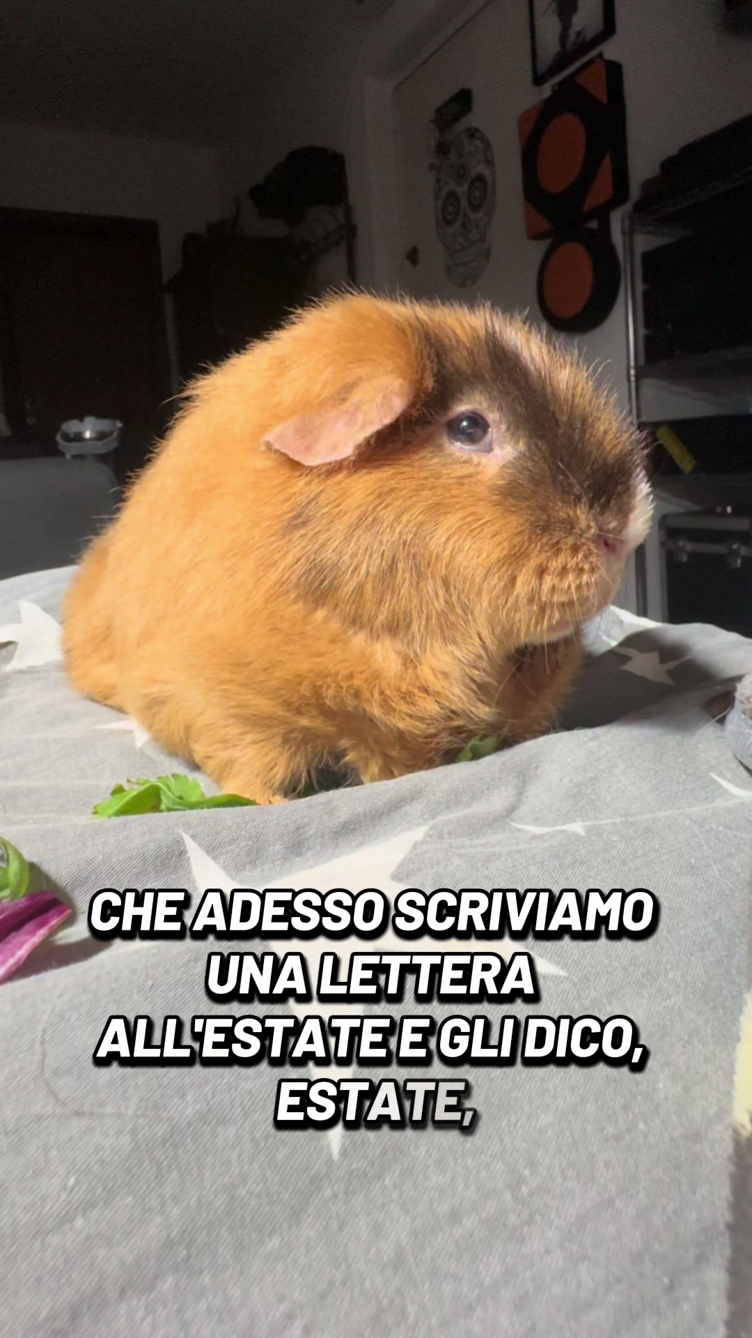 @La Rattara