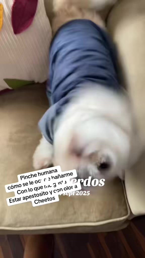 @Lu salm&oacute;n