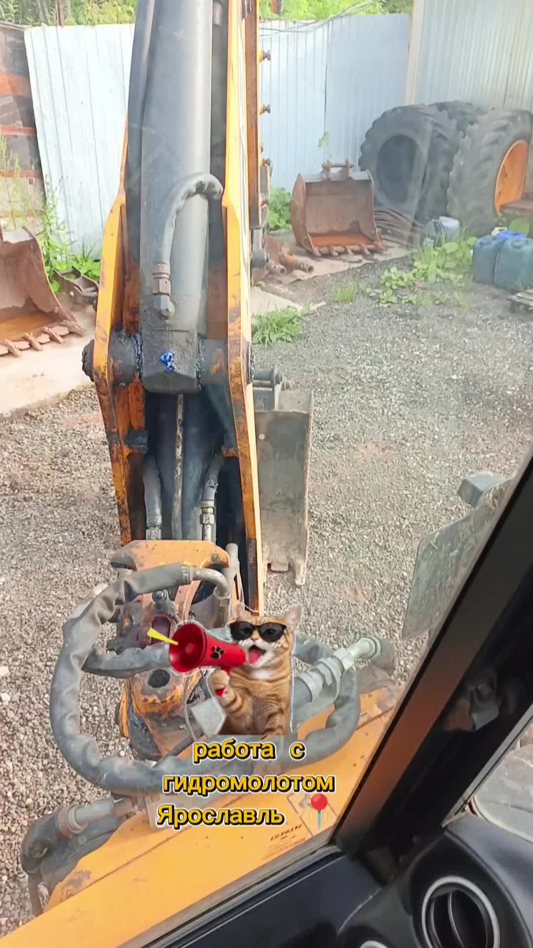 @Александр 76🐻🚜JCB