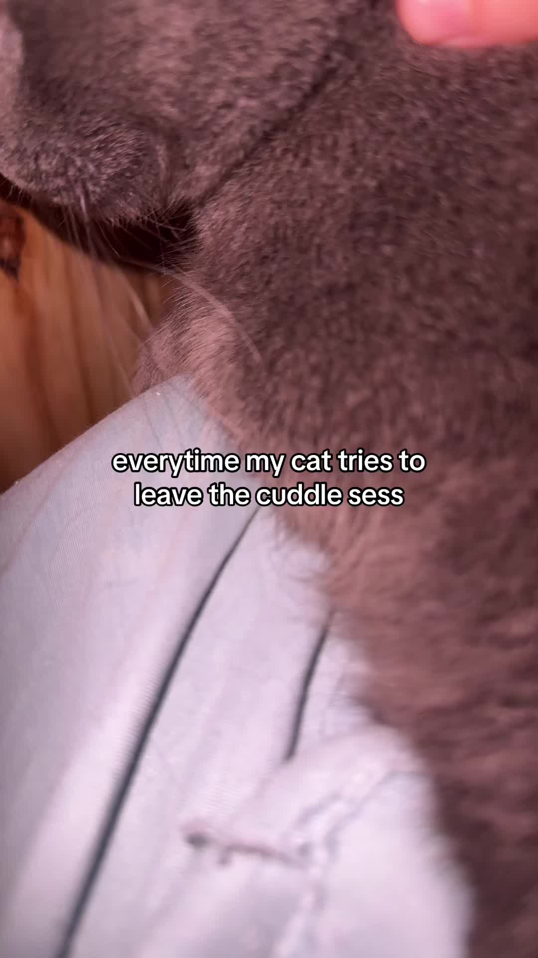 @mika 🐯
