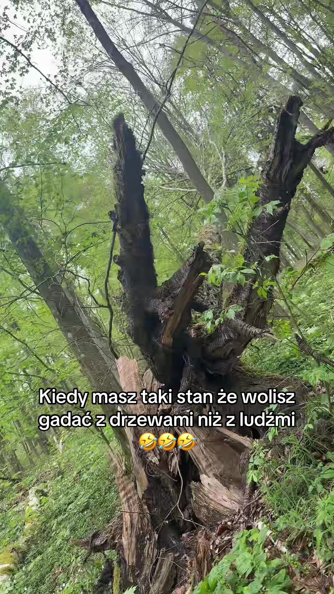 @⭐️Darioza🌍furioza⭐️