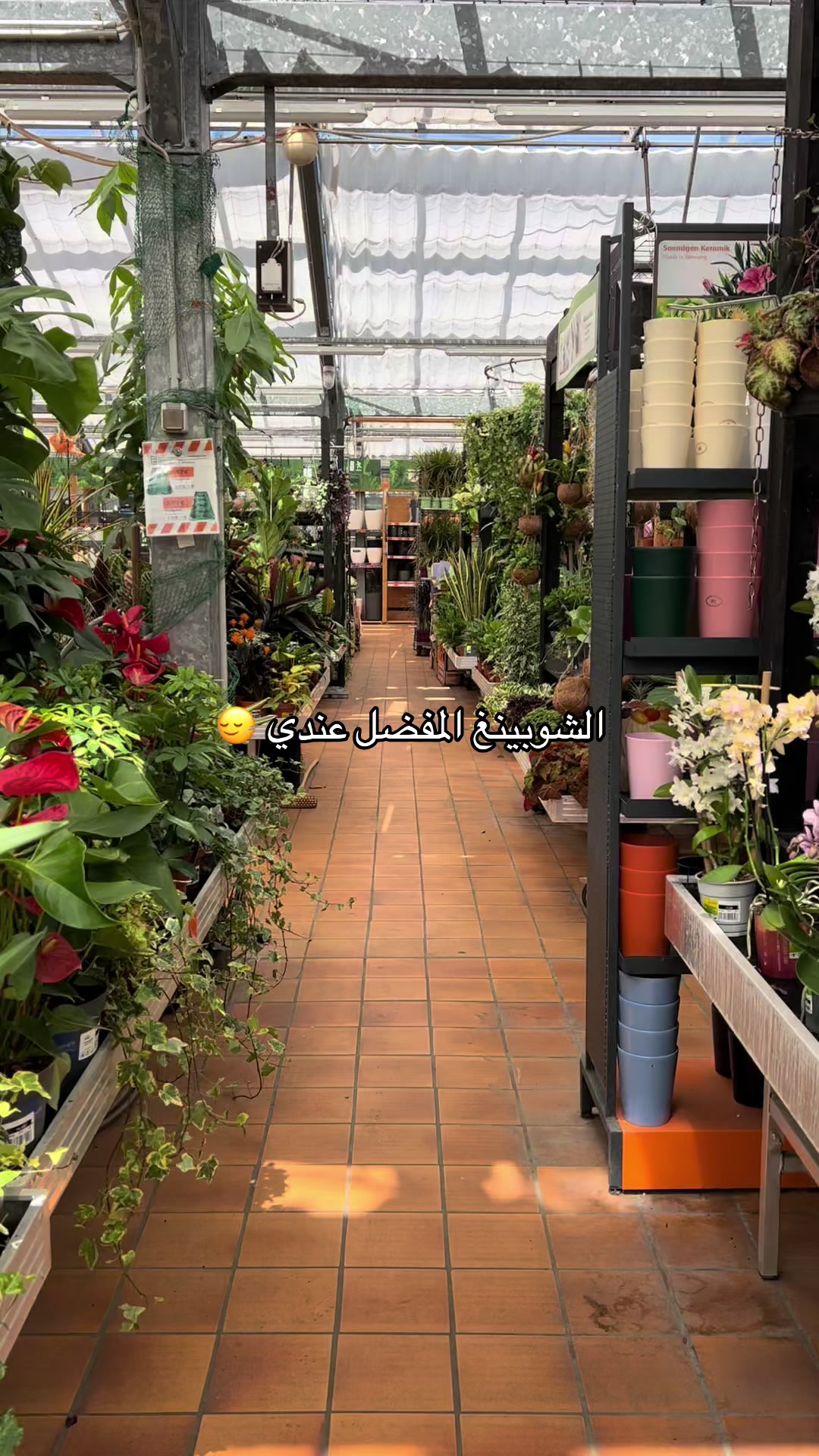 @|١٤١٤ه الَبتُــــــــــولْ