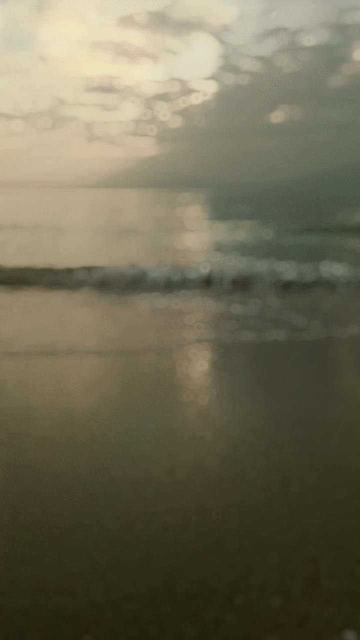 @hanihashim