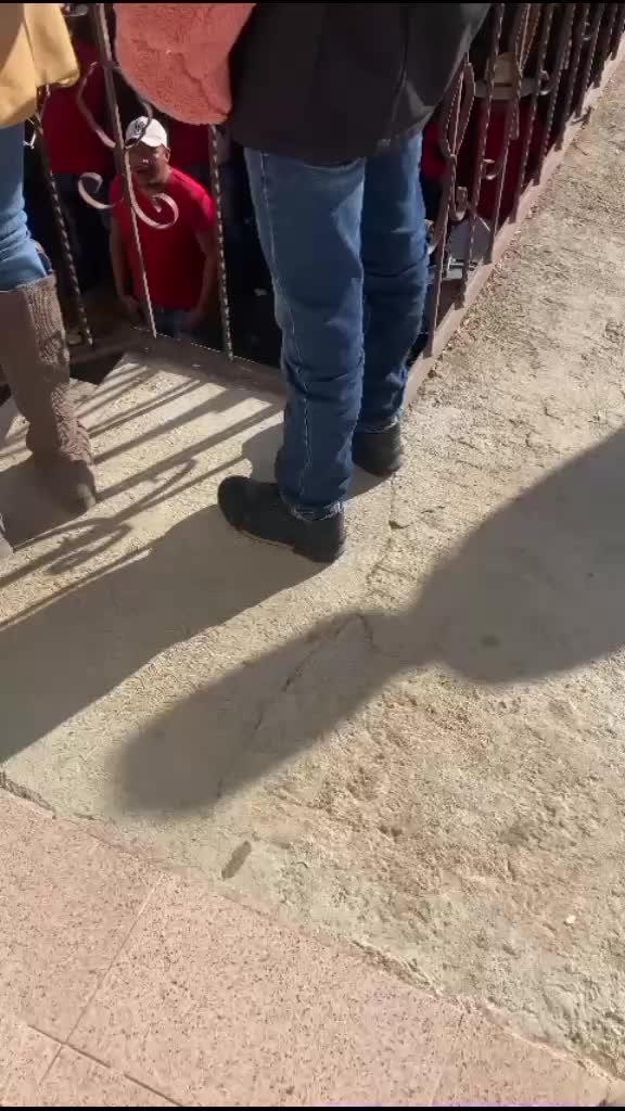 @pilarromero 123