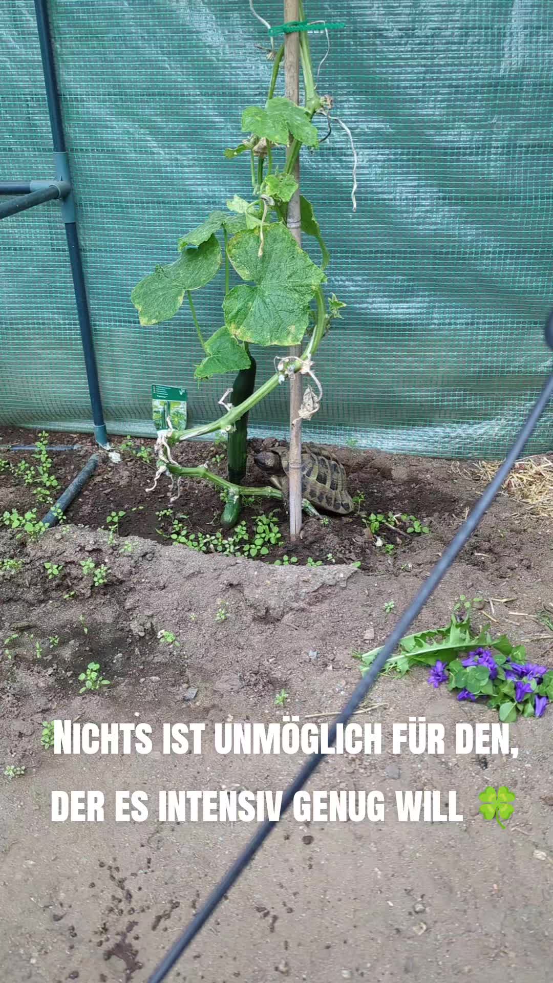 @Christina | Energie & Erfolg