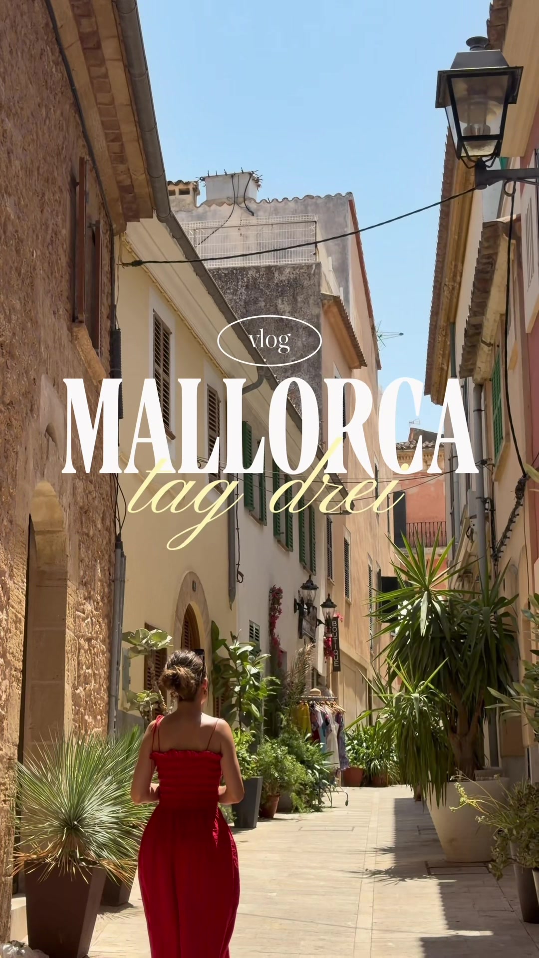 @Mineia 🌺 vegan travel