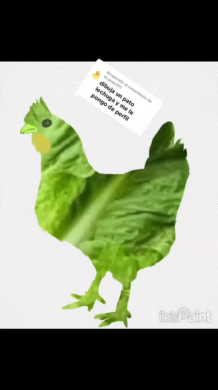 @cacahuate
