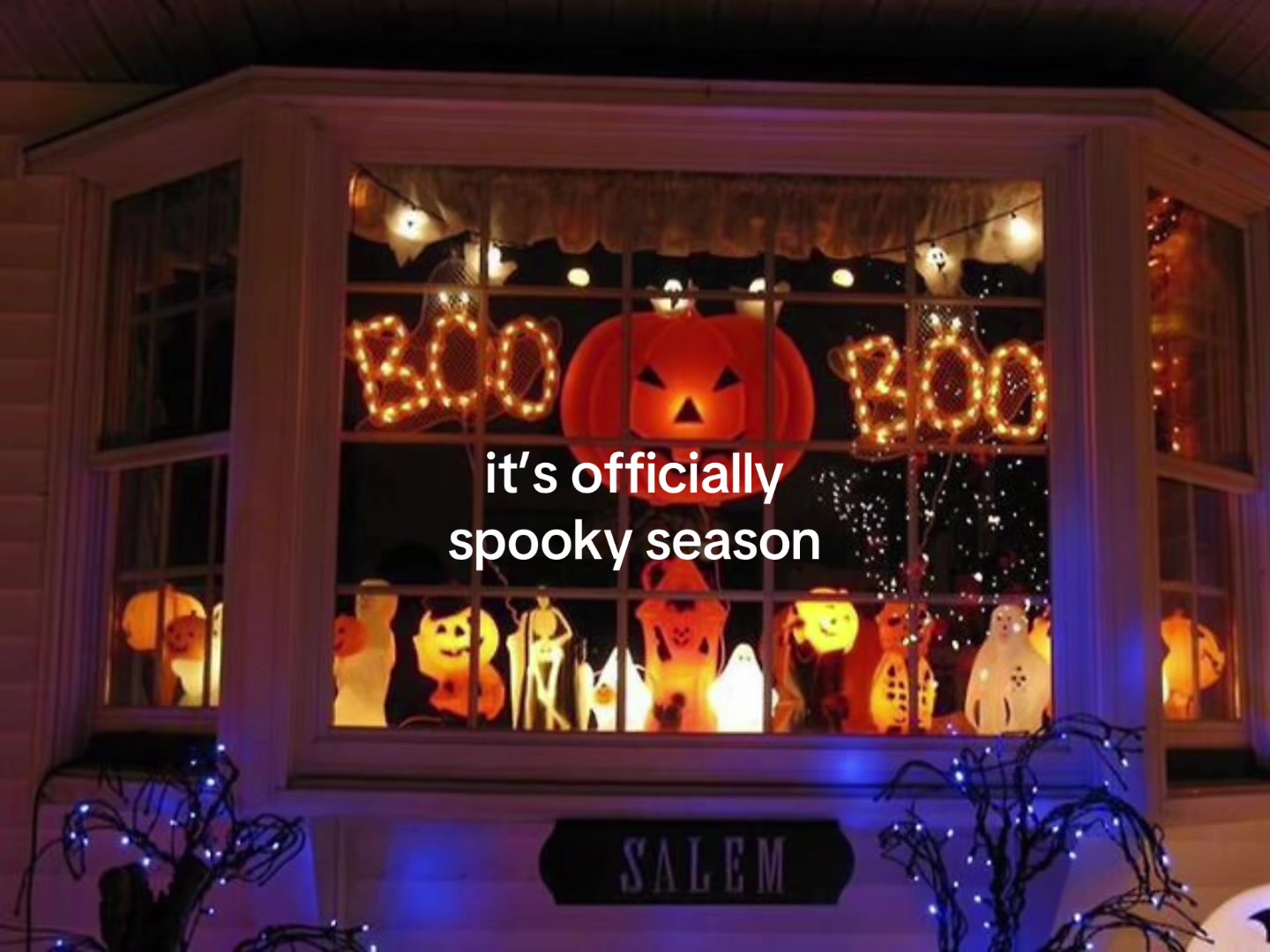 @noiseybabe