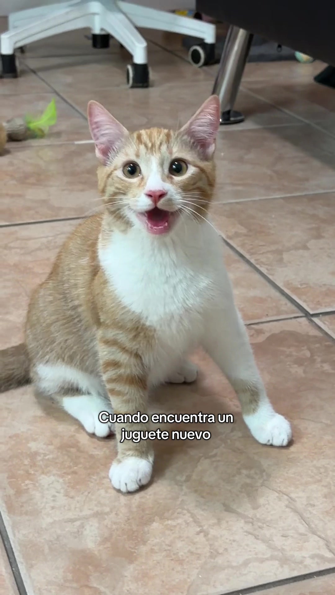 @nacho & theo