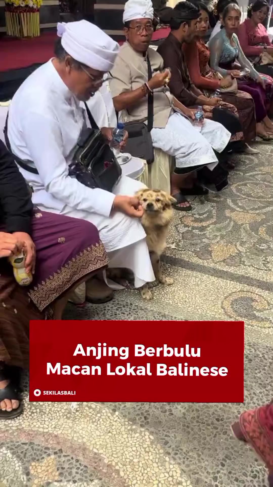 @Sekilas Bali