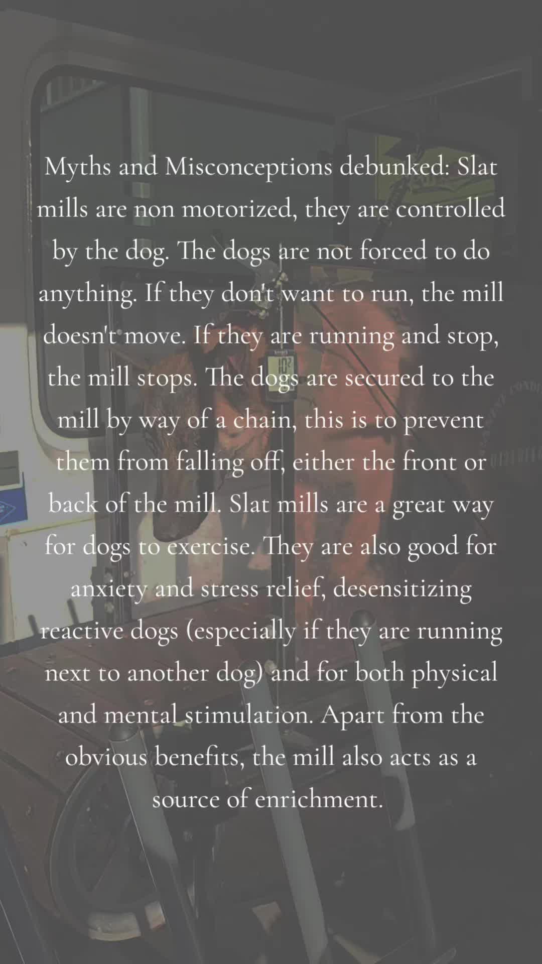 @Canine Conditioning
