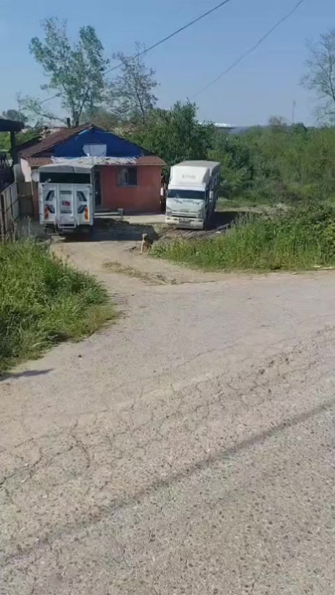 @Taşdemir besicilik