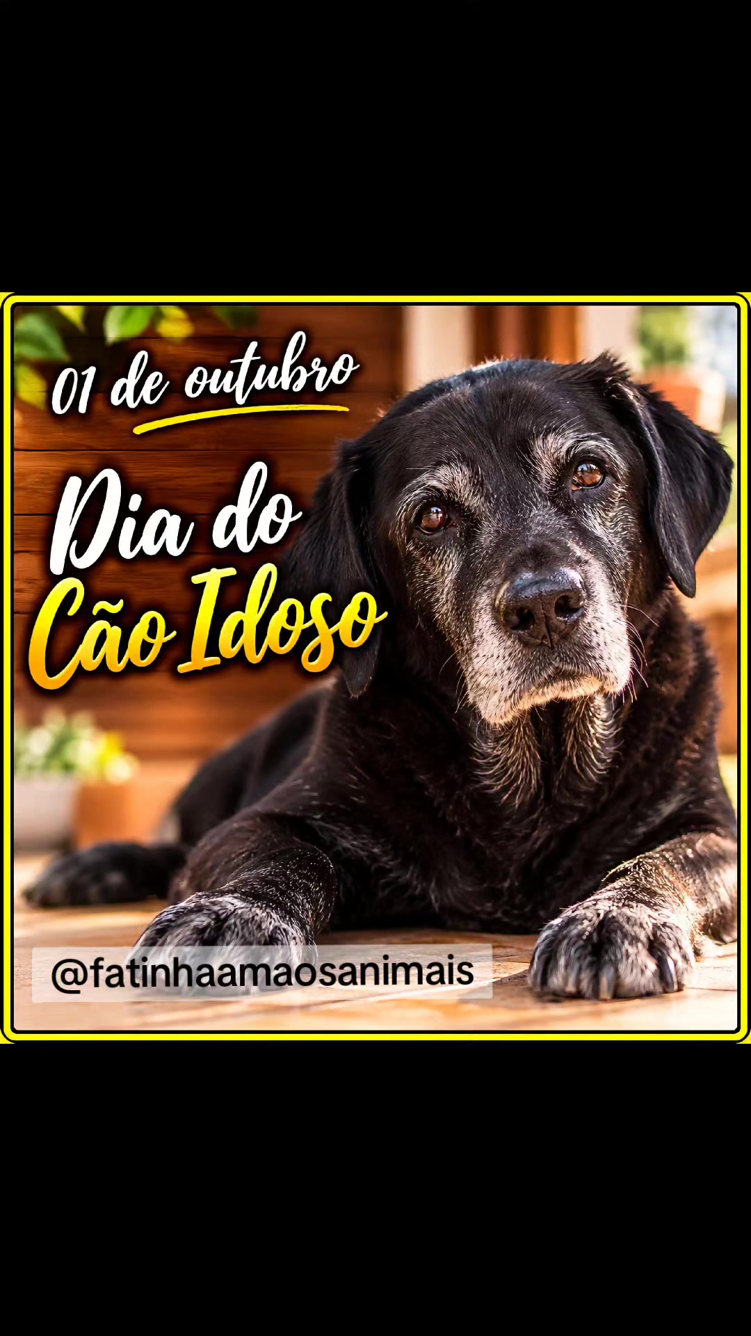 @Tropa da Fatinha🐶🐱🐎...
