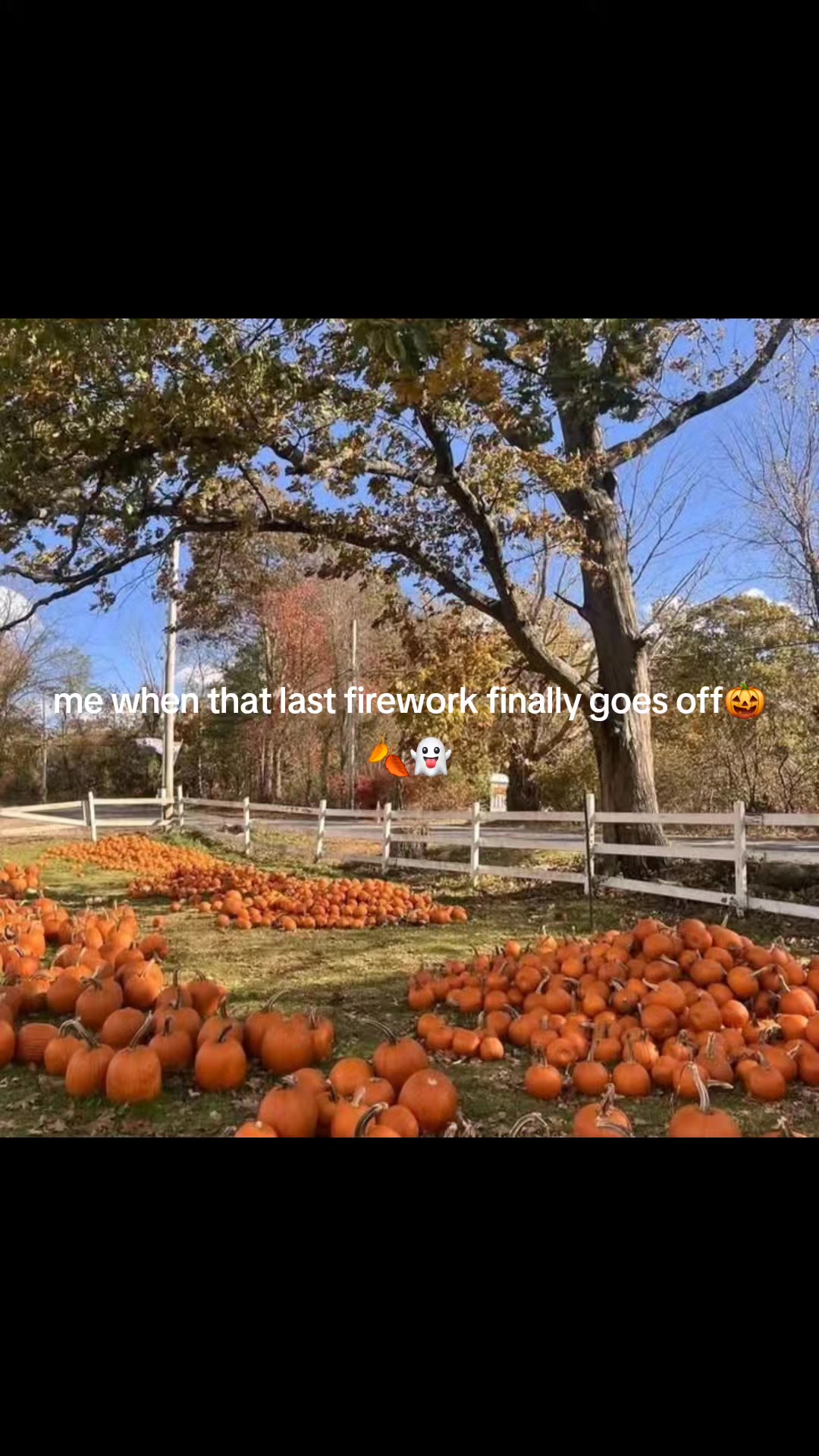 @FrightToFestive