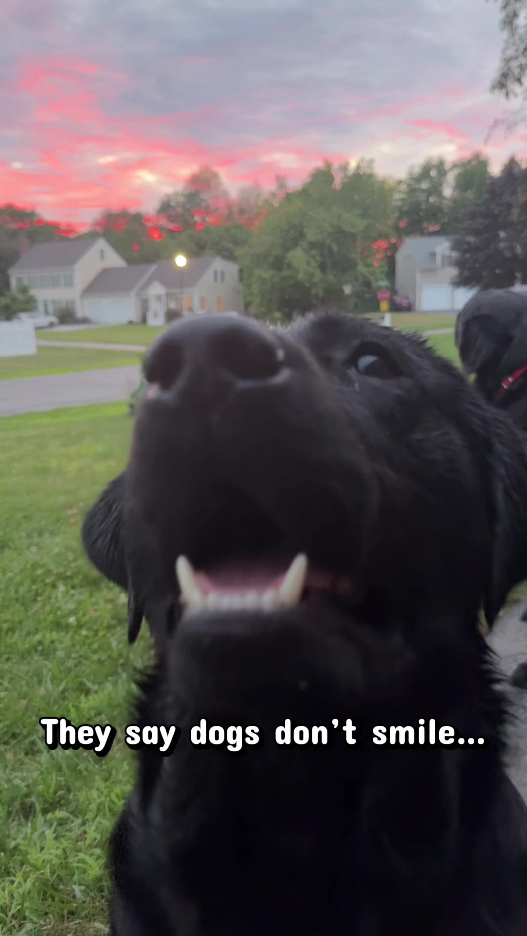 @DennisTheBlackLab