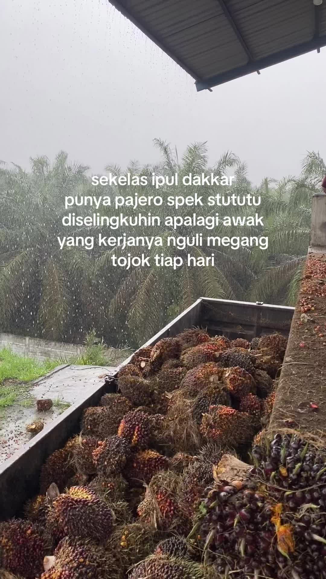 @p1hengboy