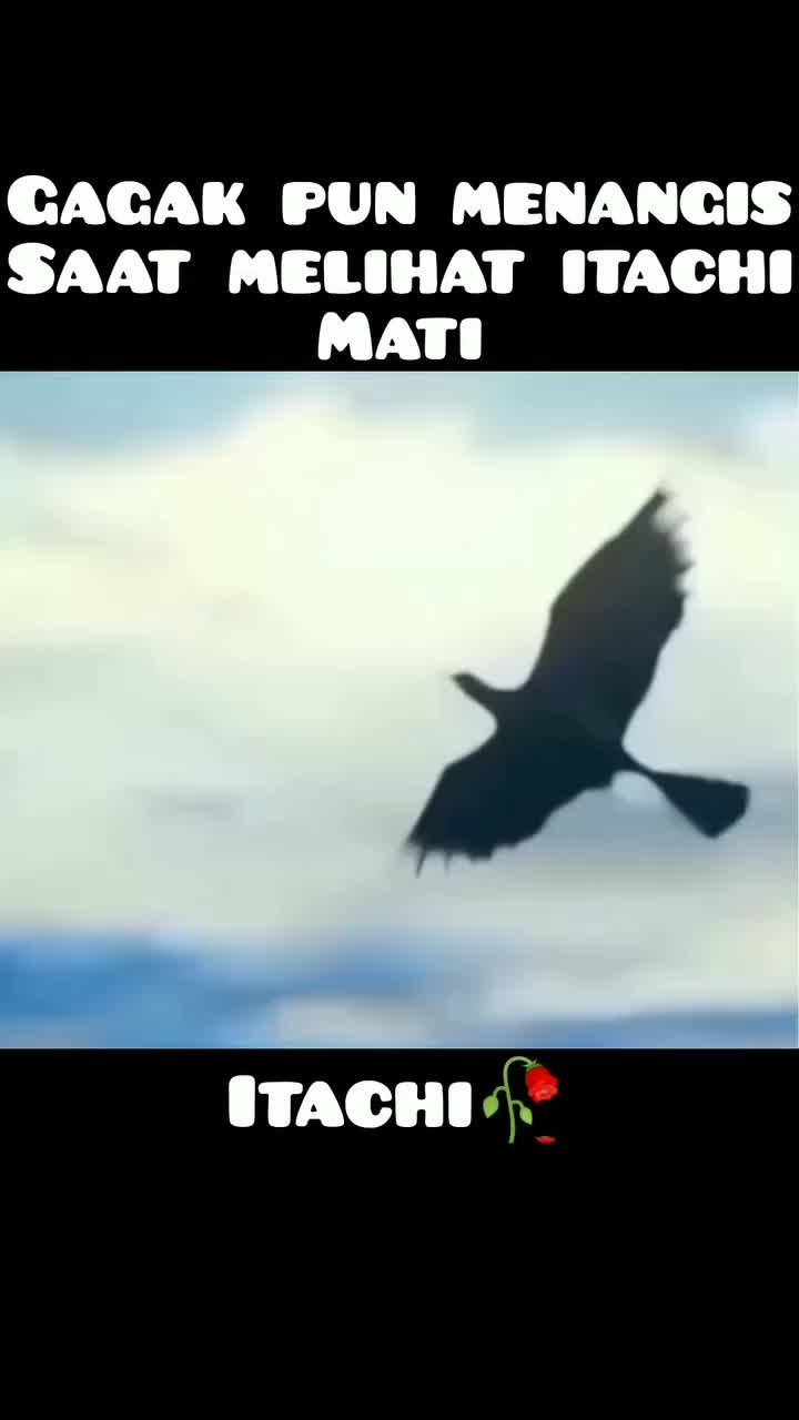 @ₘₐₛ ₙᵤᵣ🦂