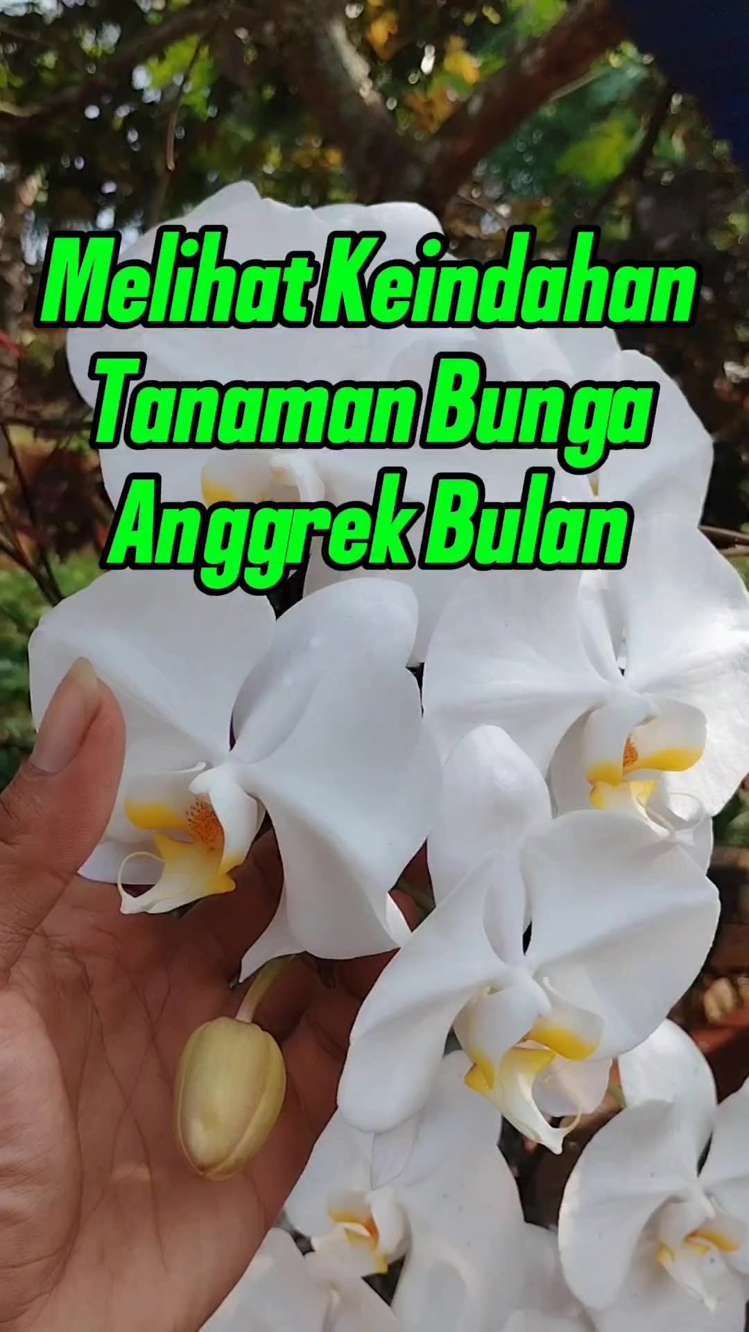 @Bukit Farming