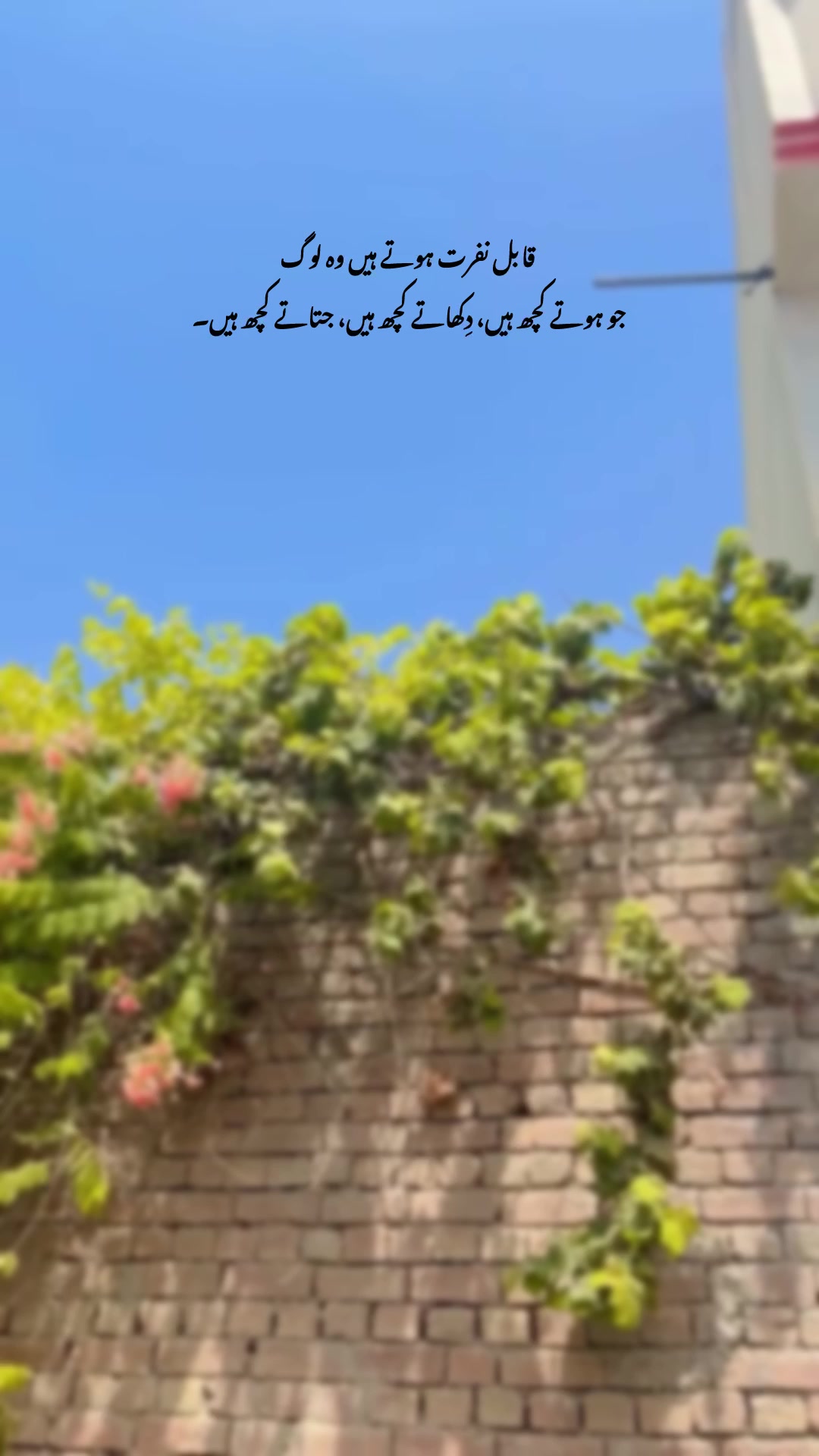 @Laiبa🥀💫