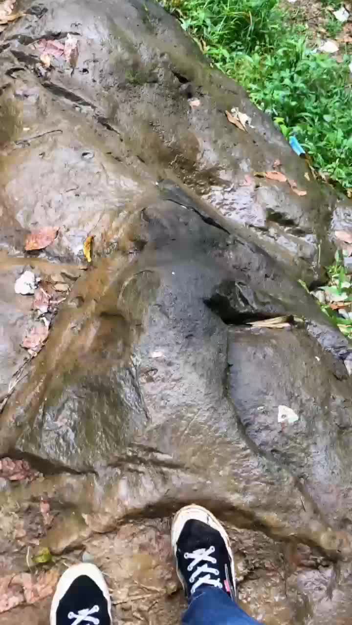 @pahrii?