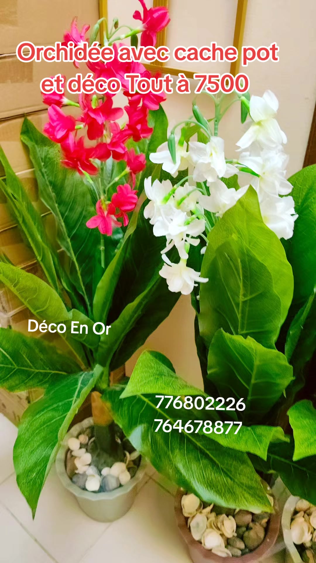 @DECO EN OR