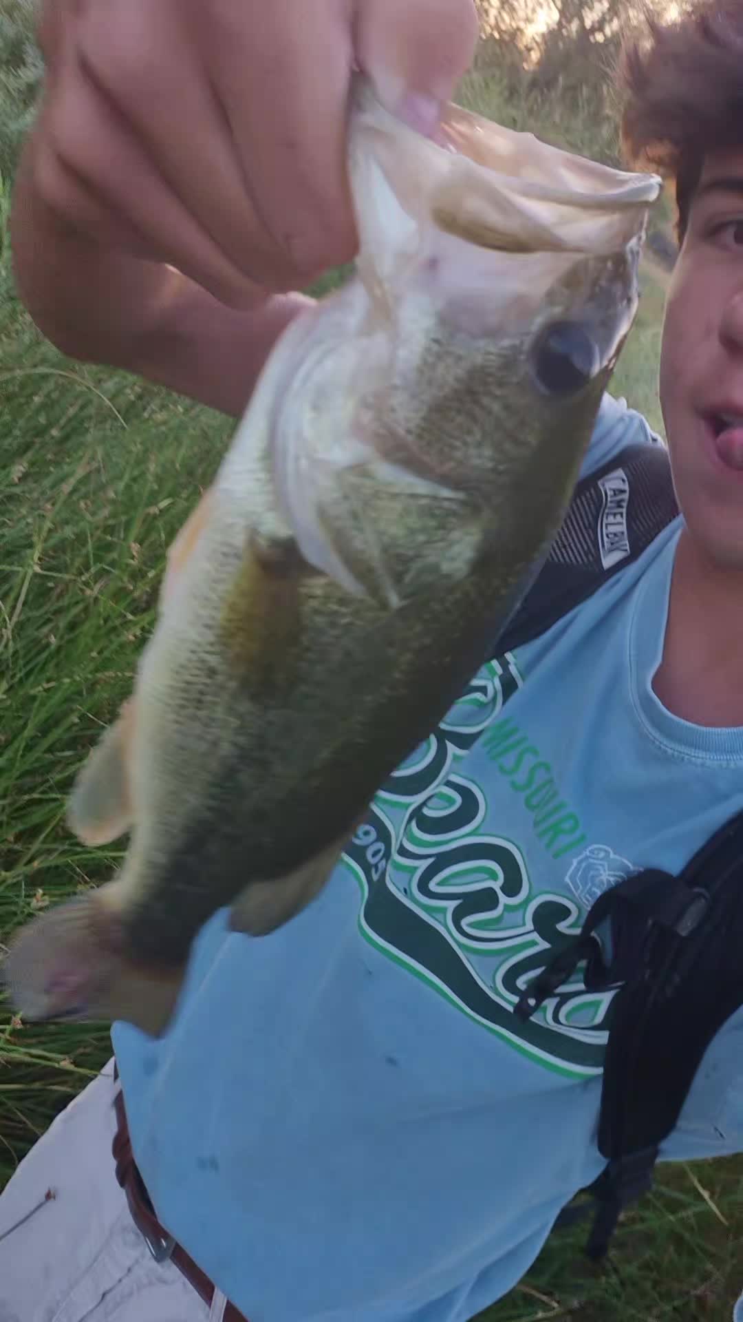 @AustinFishes