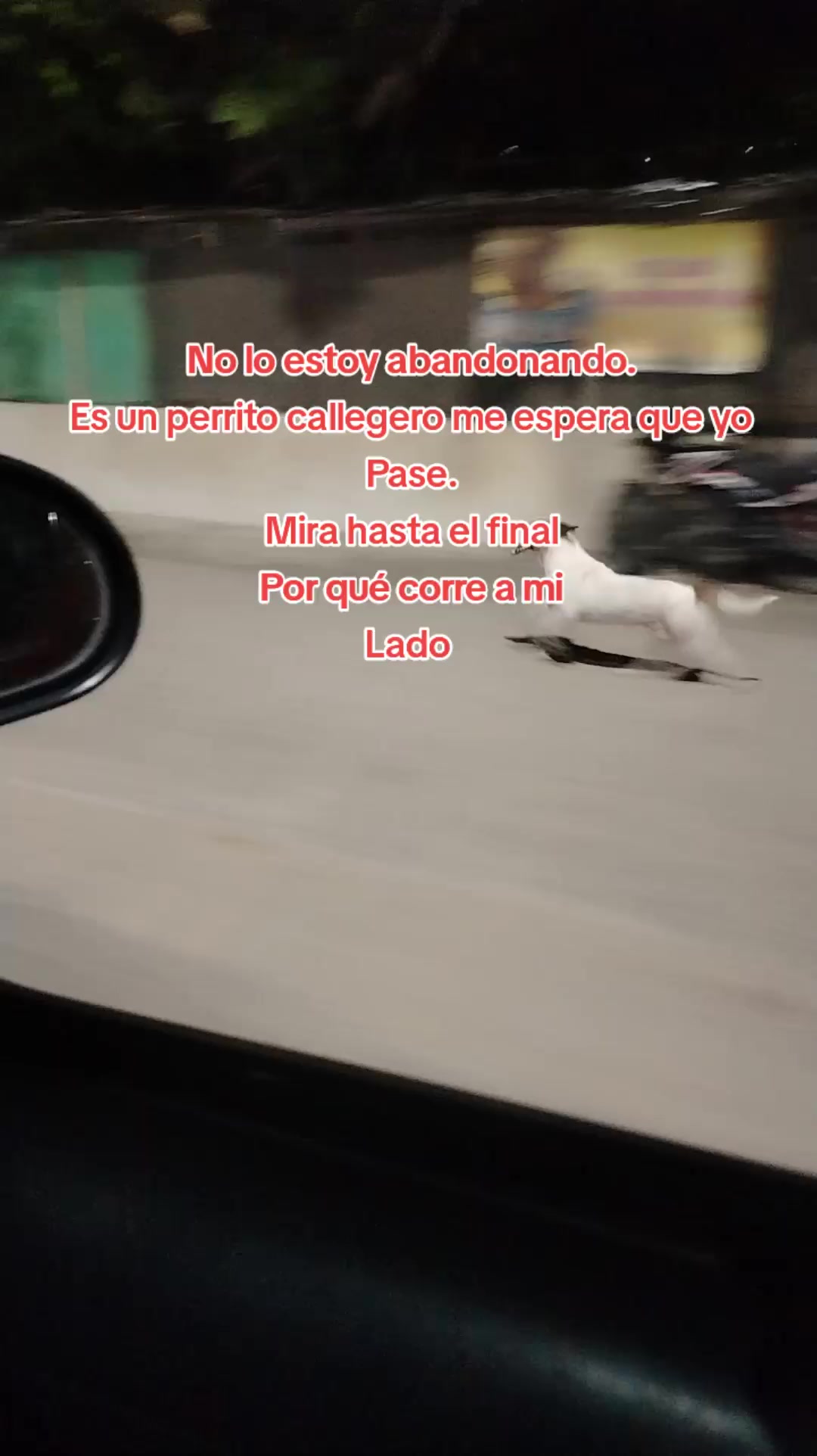 @german29a