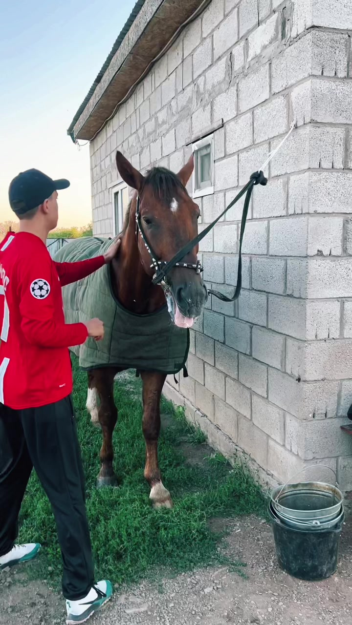 @Туран Адилет