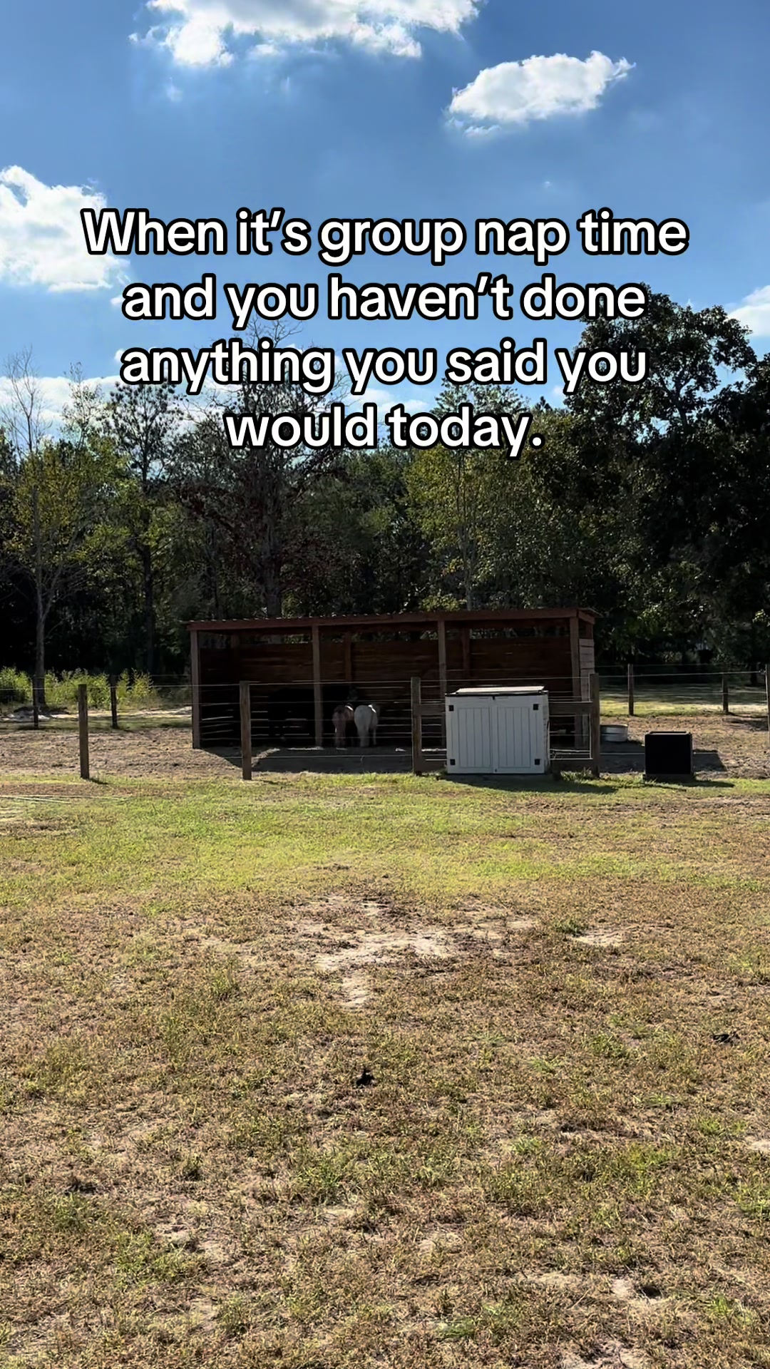 @itiswellstables