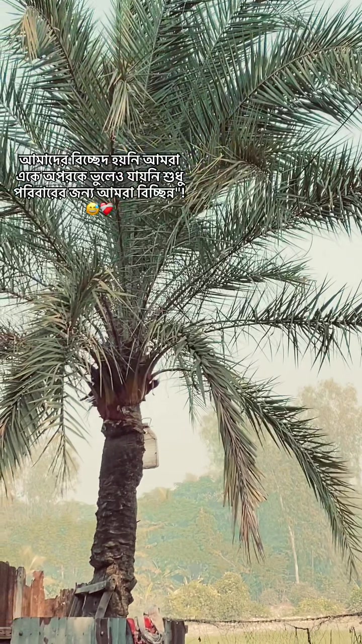 @Alone boy ❤️🩹🥺