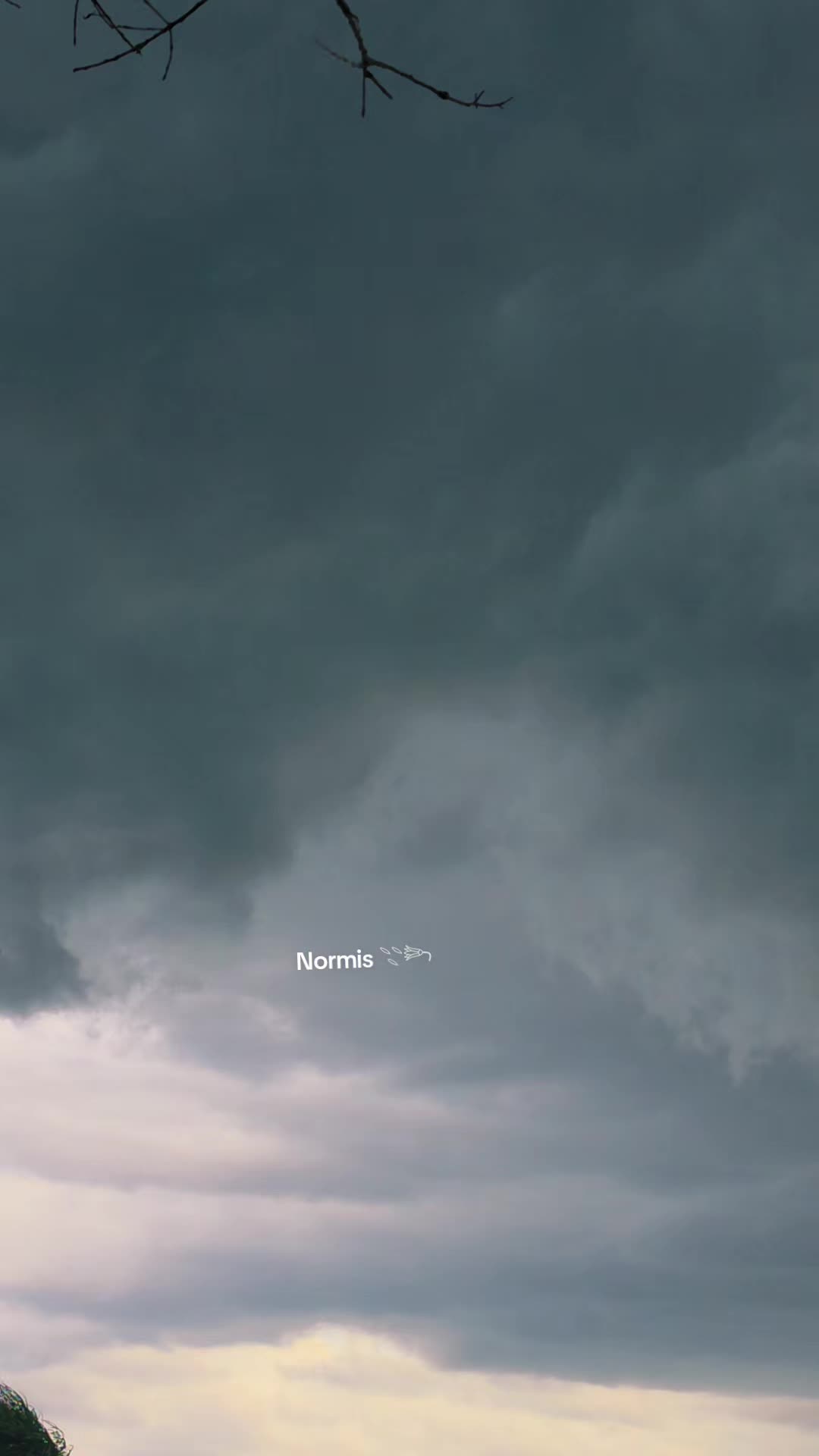 @NORMIS 𓇢𓆸