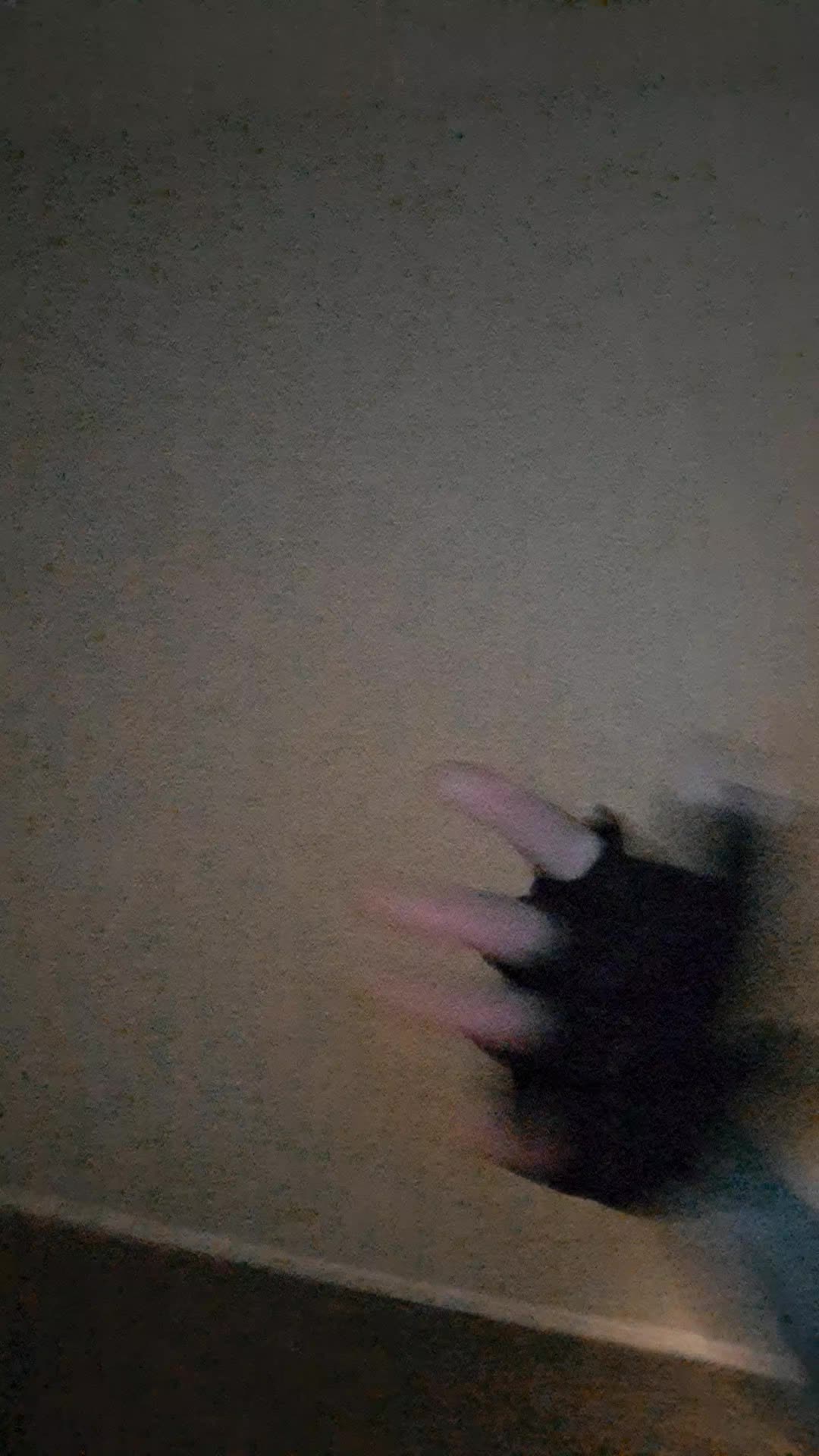 @Mochi_The_Rat