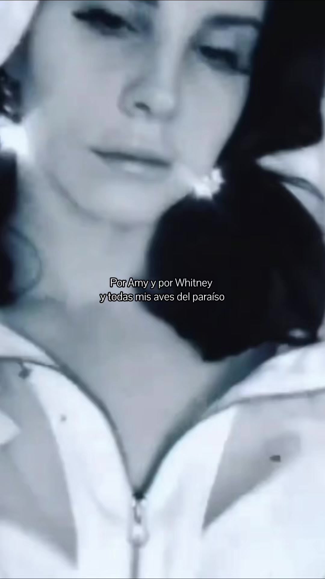 @Terry Whispers 🌙
