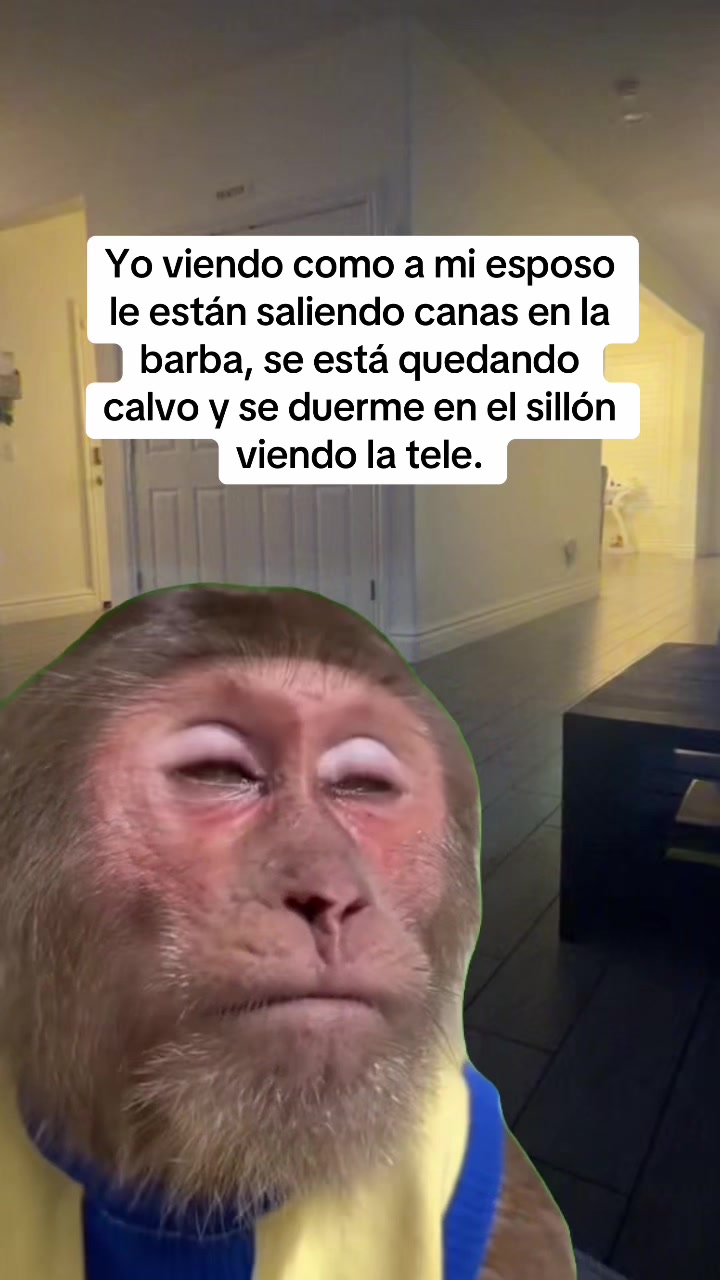 @Yaxie