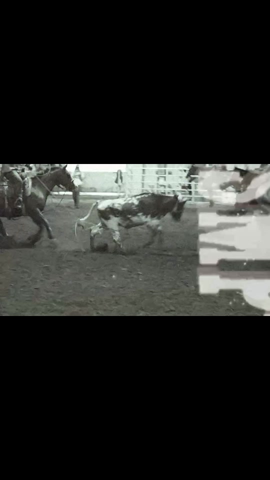 @Fort Hays Rodeo