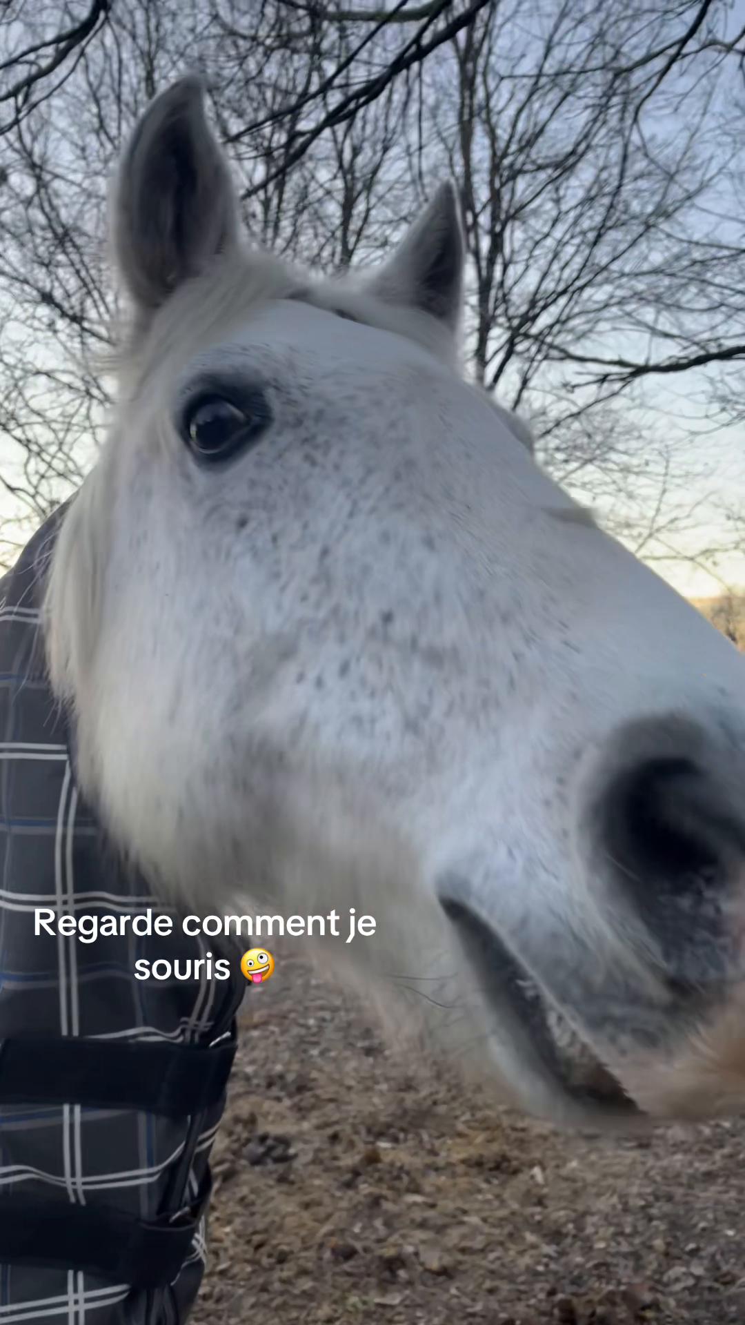 @Clara