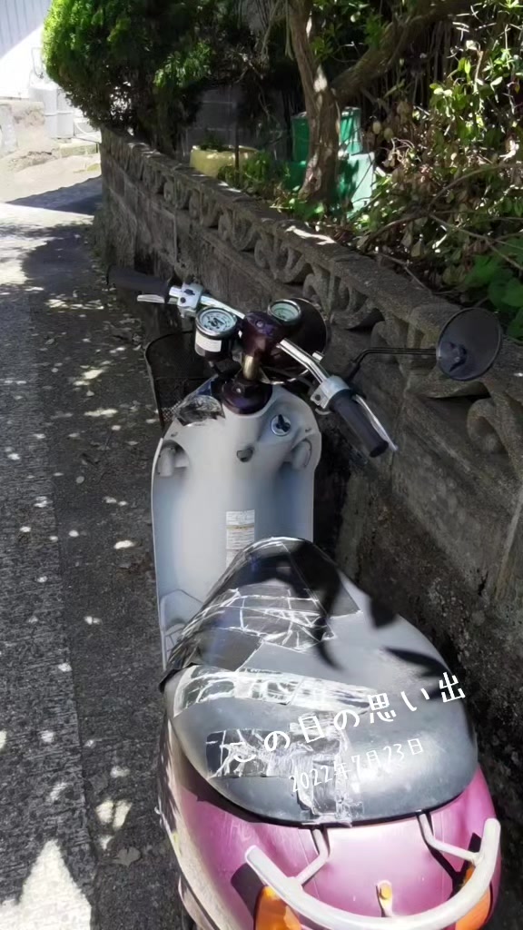 @猫写真家 森永健一
