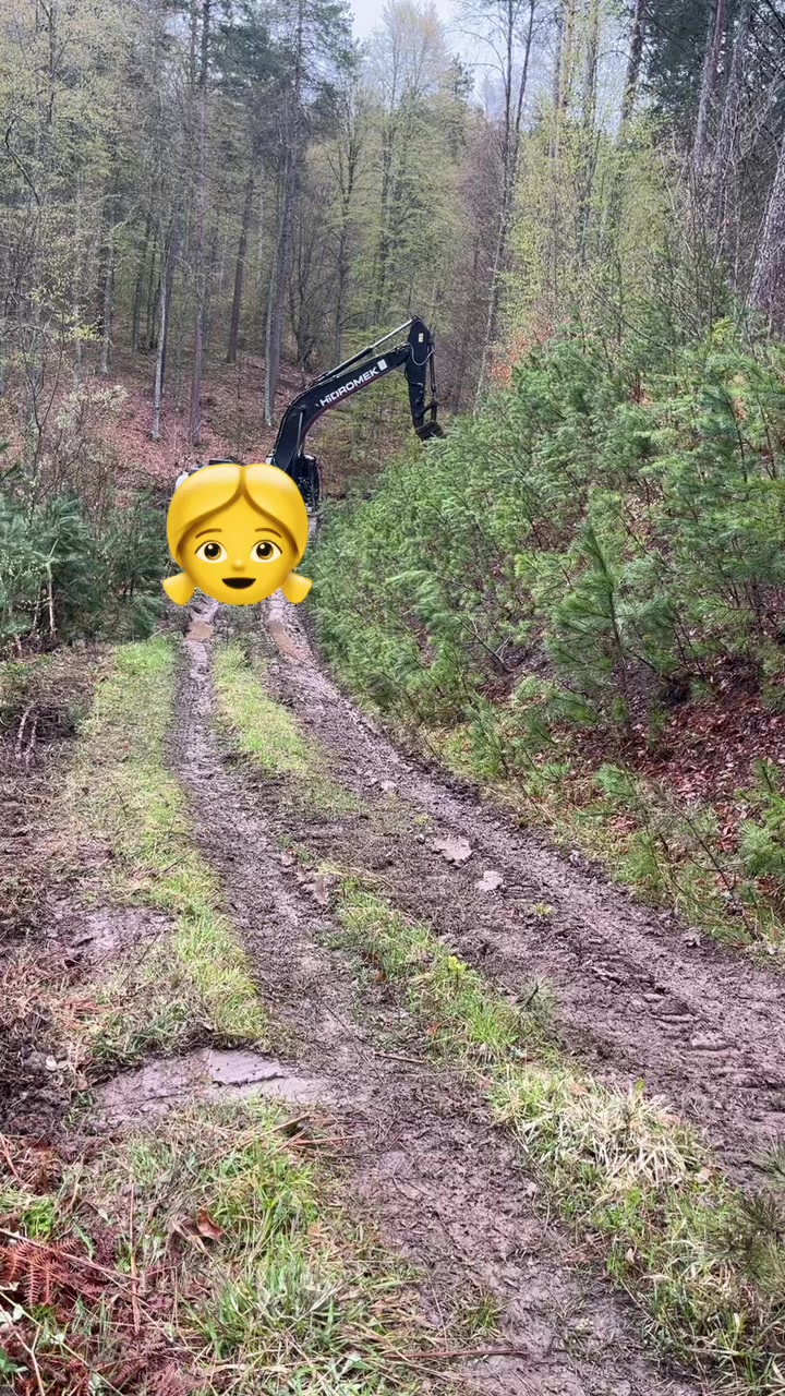 @Ahmet Asi Şen
