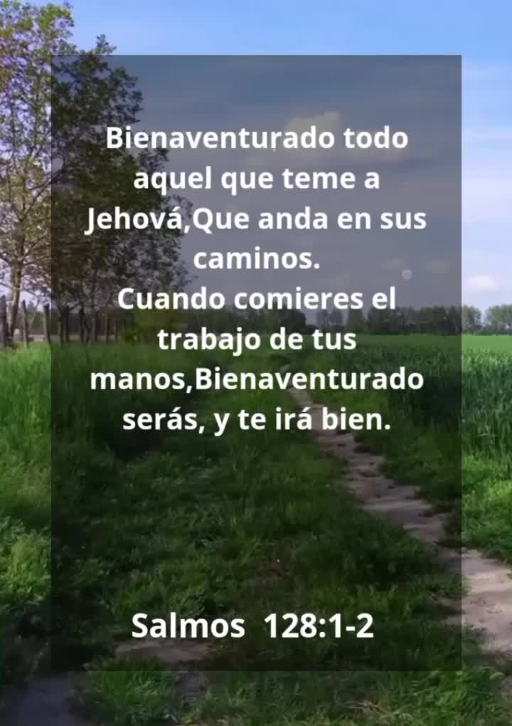 @Vicayquipa