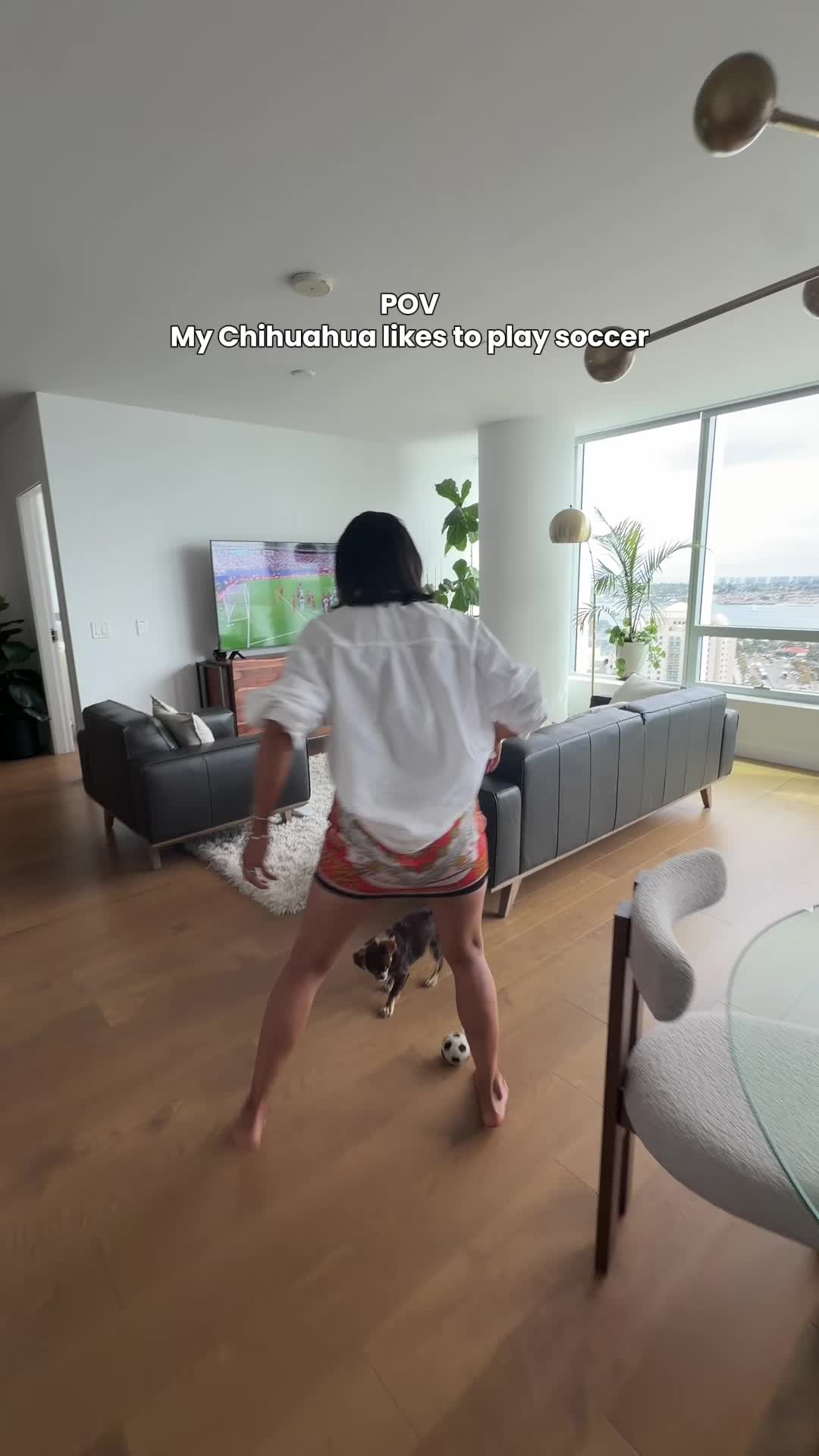 @Ms. Patron